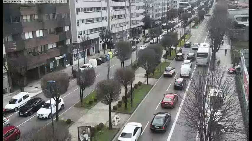 A city street scene on an overcast day shows multiple cars driving in both directions on a multi-lane road lined with buildings and trees.