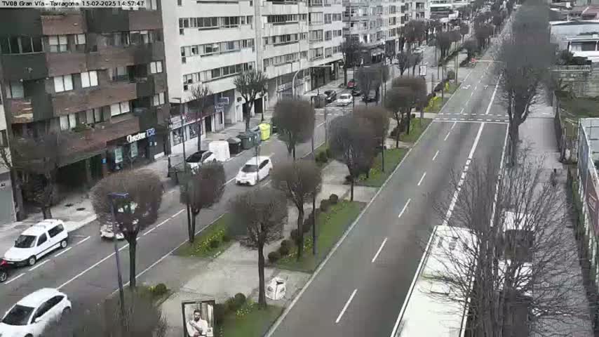 A city street scene on an overcast day shows several cars parked and driving along a wide road lined with bare trees and buildings.