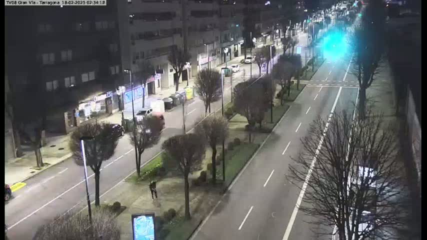 A nighttime, high-angle view of a city street with sparsely parked cars, some pedestrians, and leafless trees lining a divided roadway.