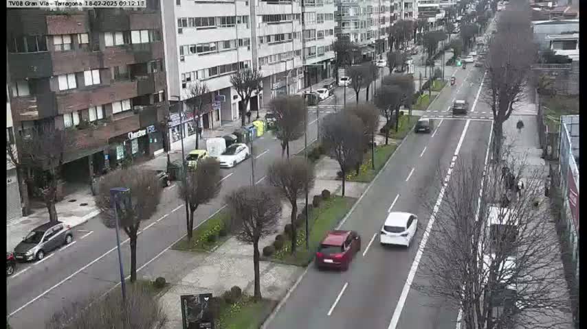 A street scene shows several cars driving on a multi-lane road lined with bare trees and buildings, under an overcast sky.