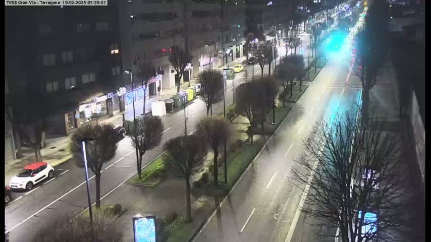 A wet, nighttime street scene shows a mostly empty road lined with bare trees and buildings.