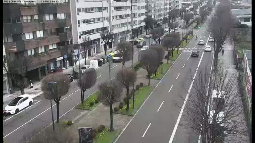 A street scene shows several cars driving on a city street lined with bare trees and buildings under an overcast sky.