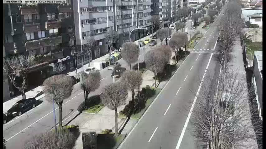 A sunny day view of a city street lined with bare trees and cars driving on a paved road, with multi-story buildings visible in the background.