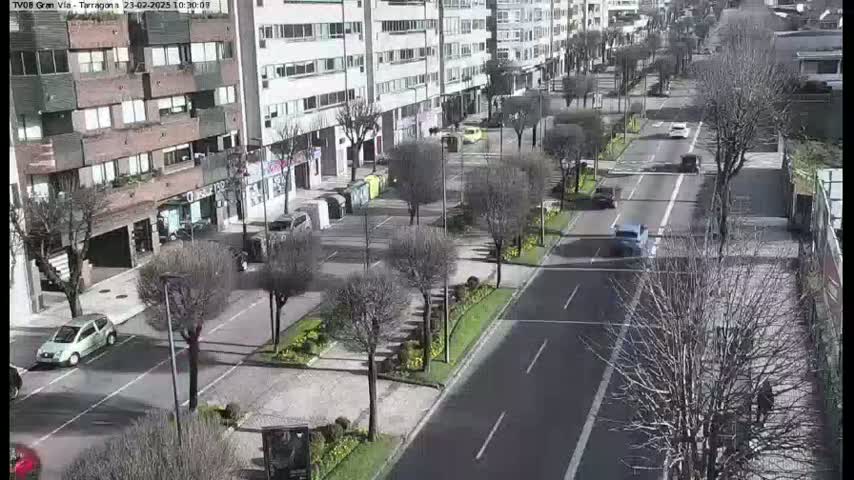 A sunny day reveals a city street scene with several cars and bare trees lining a roadway that runs past multi-story buildings.