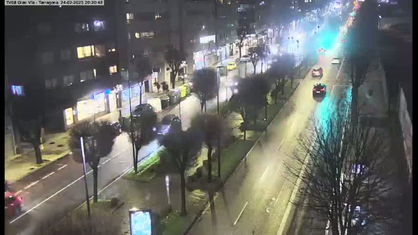 A wet, nighttime street scene shows several vehicles traveling along a city road lined with trees and buildings.