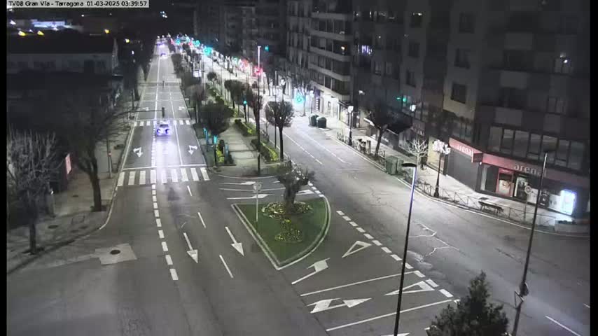 A mostly empty, well-lit city street at night, with a few cars visible and trees lining the sidewalks.