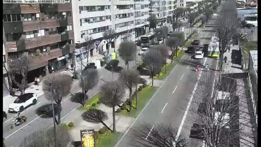 A sunny city street scene with several cars and a bus, lined with bare trees and yellow flowers, is viewed from above.