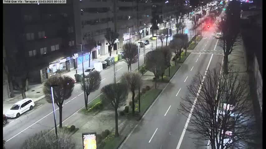 A nighttime, high-angle view of a city street with sparse traffic, lined with bare trees and buildings.