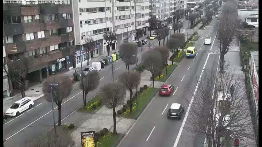 A city street scene on an overcast day shows several cars driving on a multi-lane road lined with trees and buildings.