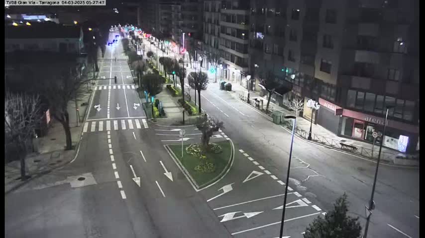 A mostly empty, well-lit city street at night, with sparsely parked cars and some small trees and landscaping visible in the center median.