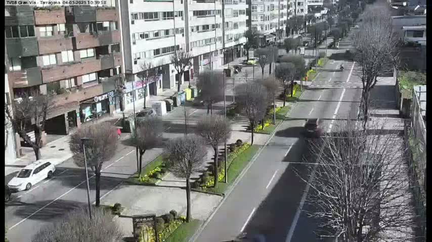 A sunny day reveals a city street with parked cars and a few moving vehicles, lined with buildings and trees, many bare of leaves.