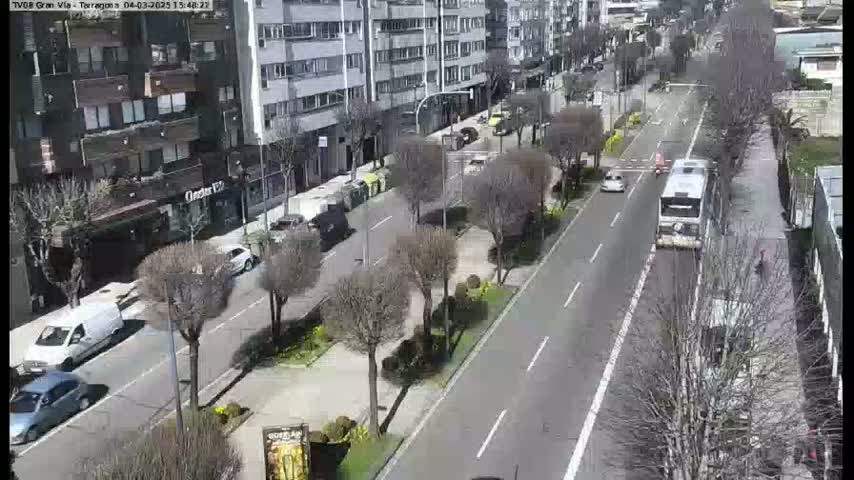 A sunny day on a city street with several cars and a bus driving in both directions, flanked by buildings and rows of bare trees.