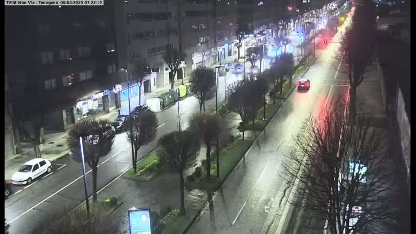 A wet, nighttime street scene shows cars driving on a city street lined with trees and buildings.