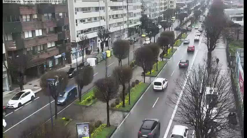 A wet city street lined with trees and buildings is seen from an elevated viewpoint, with several cars driving along the road.