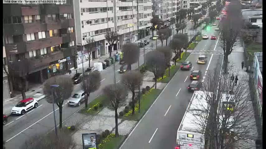 A city street scene with several cars and a bus in the lanes, buildings on either side, and bare trees lining a median with patches of yellow flowers, on an overcast day.
