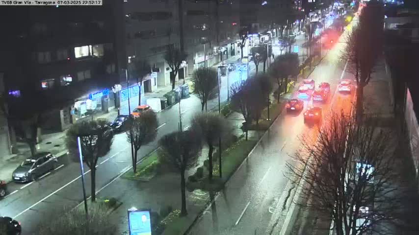 A wet, nighttime street scene shows several cars driving on a multi-lane road lined with trees and buildings.
