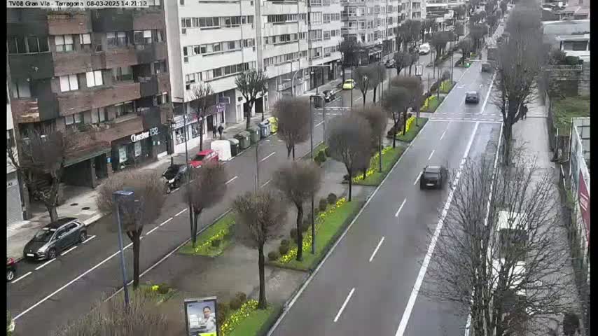 A wet, tree-lined city street with several cars driving on it, alongside multi-story buildings.