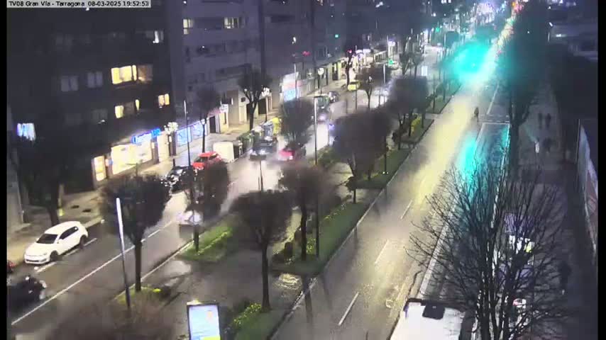 A rain-slicked city street at night shows several cars driving and parked along a tree-lined median.