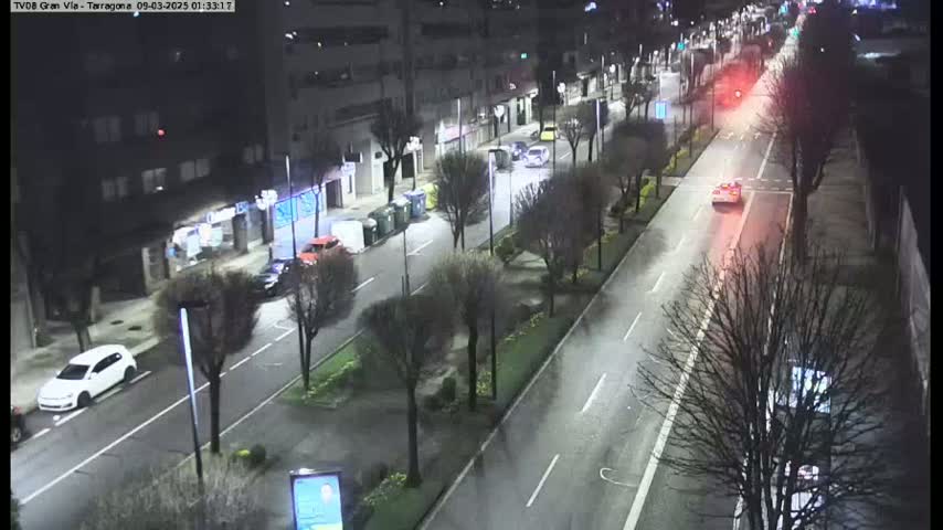 A nighttime, wet street scene shows several cars driving on a tree-lined road, with buildings visible on either side.