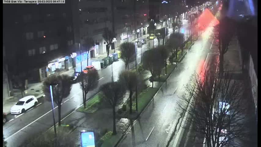 A rain-slicked city street at night shows sparsely trafficked lanes lined with leafless trees and buildings, lit by streetlights.