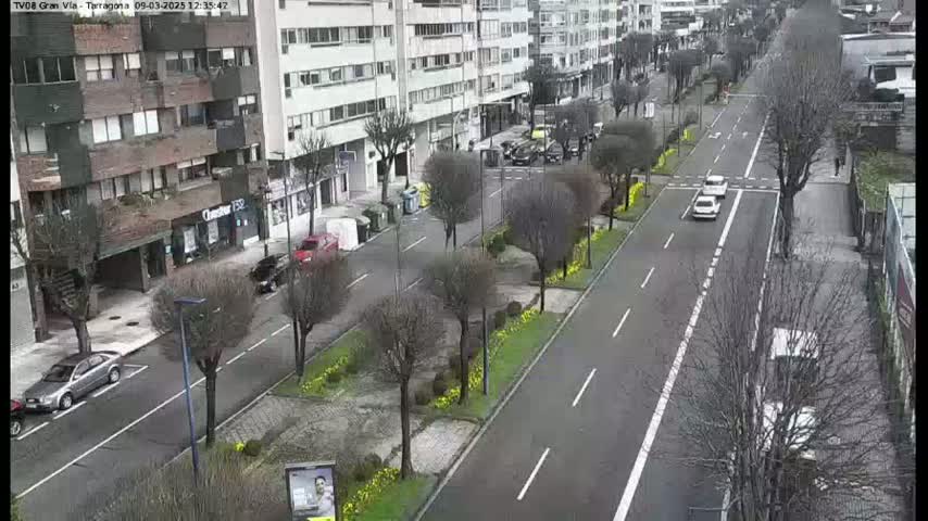 A street scene on an overcast day shows a multi-lane road lined with bare trees and small patches of yellow flowers, with several cars driving and parked along the sides of buildings.