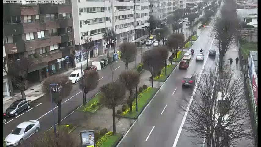 A rain-slicked city street with cars and pedestrians, lined with buildings and trees.