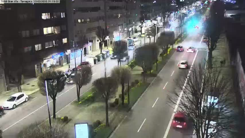 A nighttime, street-level view shows several cars driving on a multi-lane road lined with trees and buildings.