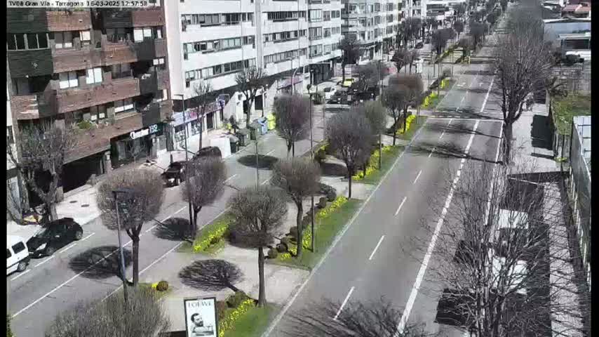 A sunny day reveals a city street lined with bare trees and parked cars, with multi-story buildings visible on either side.
