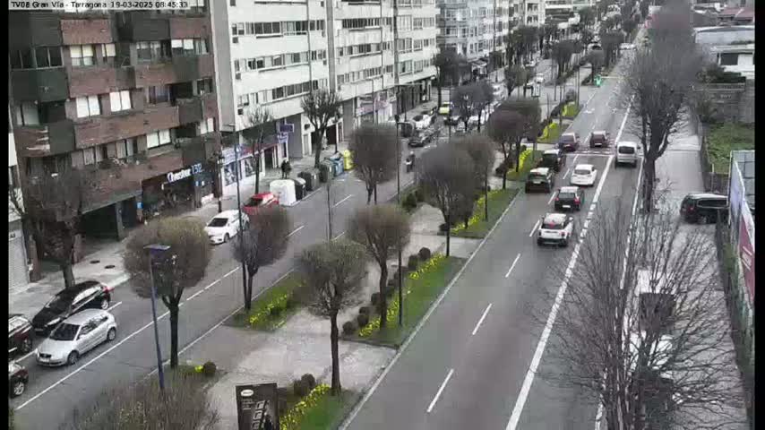A city street with parked and moving cars, lined with buildings and bare trees in overcast weather.
