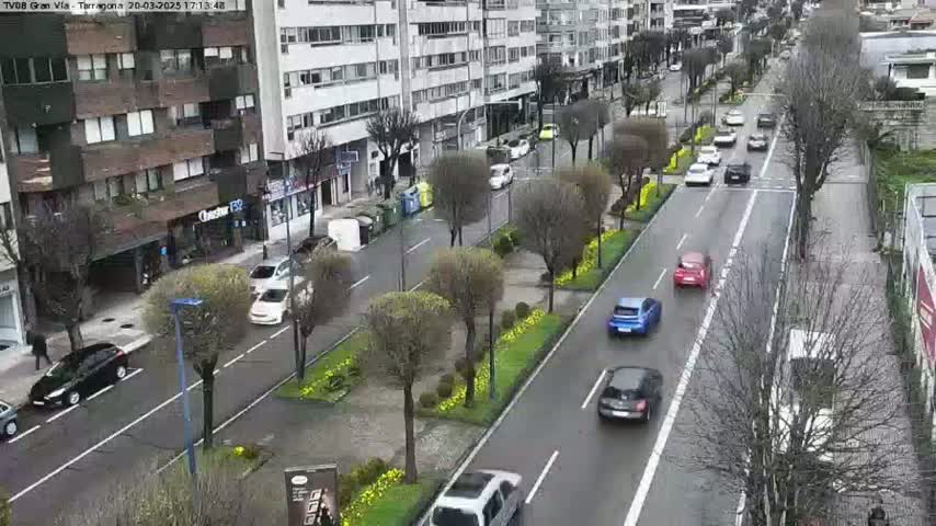 A wet city street with several cars driving in both directions, lined with buildings and small trees with yellow flowers.