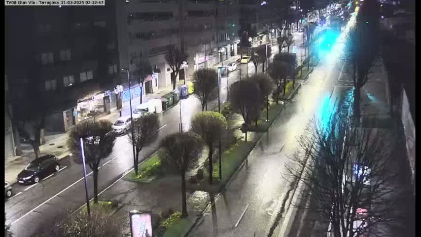 A rain-slicked city street at night is lined with trees and buildings, with a few cars driving on the wet road.