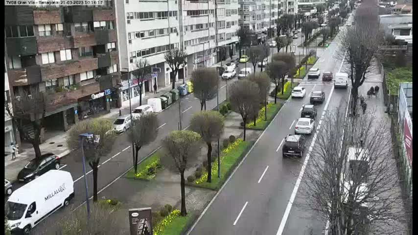 A wet city street with cars driving in both directions, lined with buildings and trees showing early spring blooms.