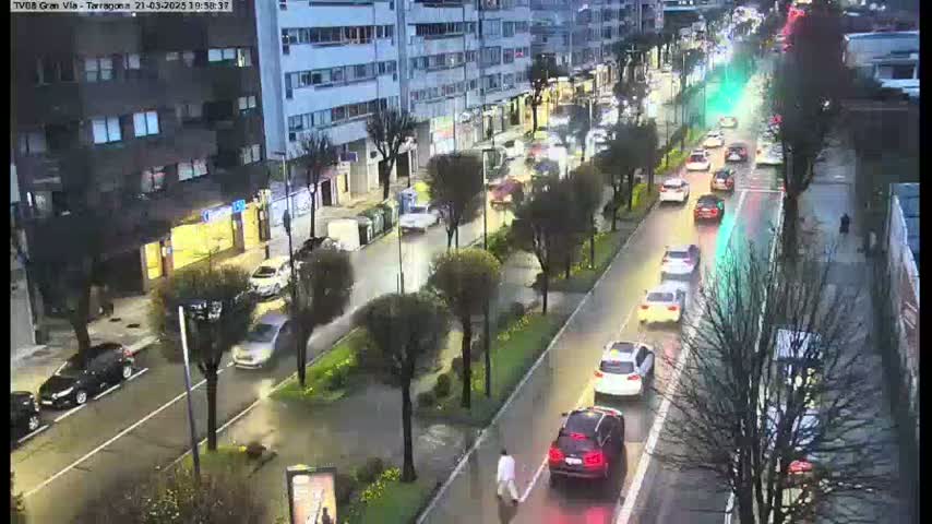 A wet, city street at night is lined with buildings and trees, and several cars are driving on it.