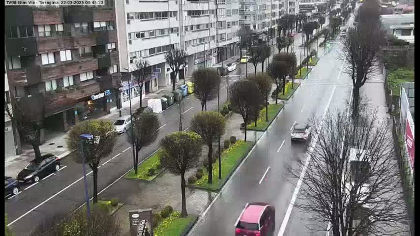 A wet, city street lined with trees and buildings, with several cars driving on it.