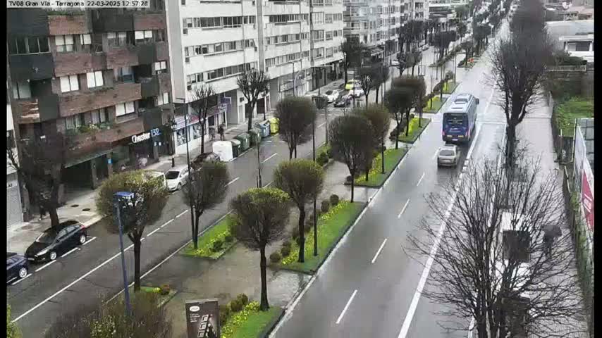 A rain-slicked city street lined with trees and parked cars, with a bus and several other vehicles in motion.