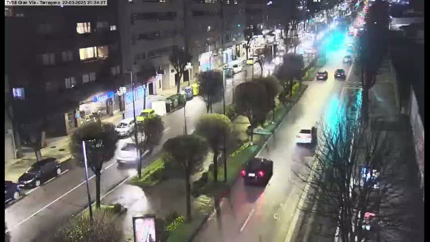 A wet city street at night is lined with trees and buildings, with several cars driving along it.