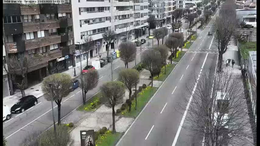 A mostly empty city street lined with bare trees and parked cars, under a cloudy sky.