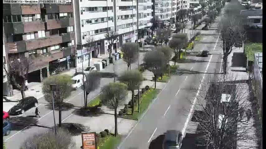 A sunny day reveals a street scene with several cars parked and driving along a tree-lined roadway that passes by apartment buildings.