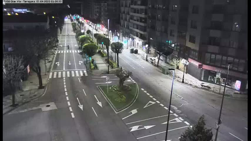 A mostly empty, well-lit street at night, lined with buildings and trees, shows minimal traffic under clear skies.