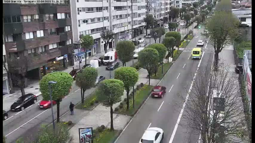 A city street scene shows several cars driving on a tree-lined road, with buildings lining the street on either side under an overcast sky.