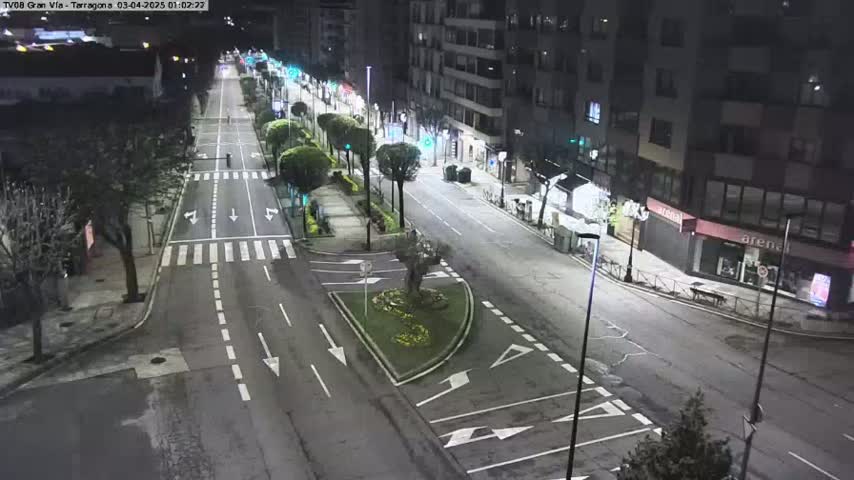 A mostly empty, brightly lit city street at night, lined with trees and buildings, under clear skies.
