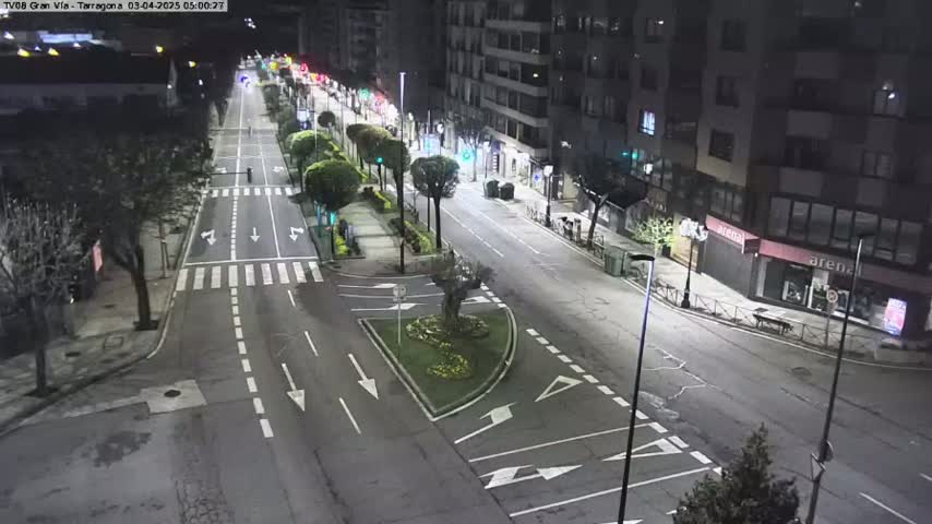 A mostly empty, well-lit city street at night, lined with trees and buildings.