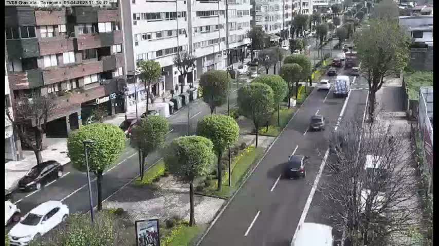 A wet city street with cars driving on it, lined with trimmed trees and buildings, under an overcast sky.