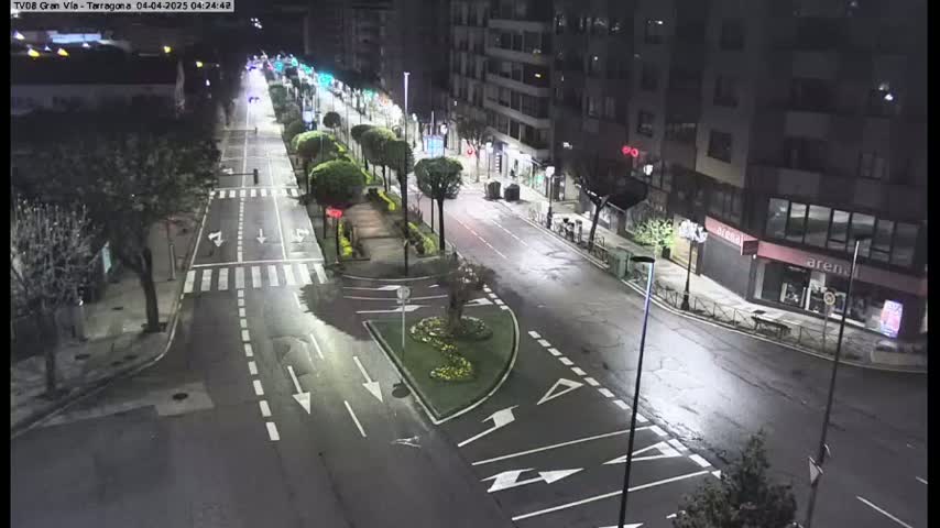 A wet, empty city street at night, lined with trees and buildings, is illuminated by streetlights.