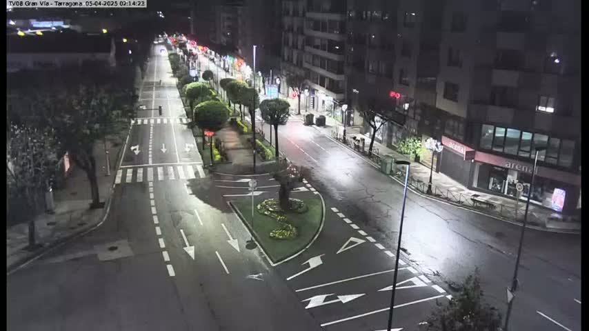 A mostly empty, tree-lined street at night, brightly lit by streetlights.