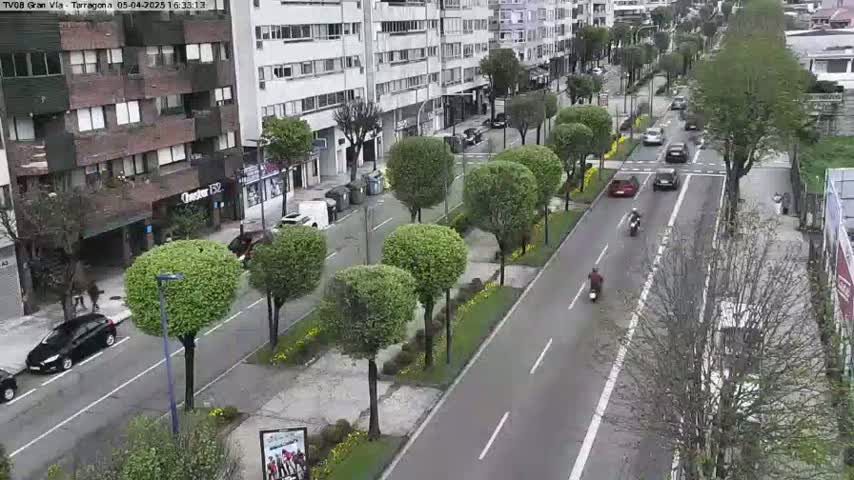 A sunny day view of a city street lined with trees and cars, with several motorcycles traveling along the road.