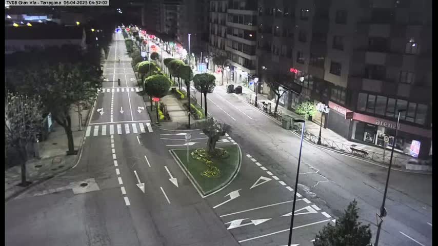 A mostly empty city street at night, lined with trees and buildings, is illuminated by streetlights.