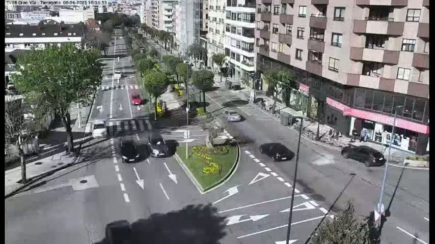 A sunny city street intersection shows several cars driving around a small traffic circle, landscaped with yellow and green plants.