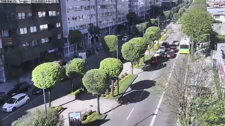 A sunny street scene shows several cars driving past a bus, with buildings lining the street and neatly trimmed green trees planted along a median.