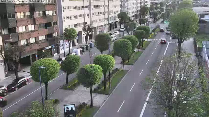 A street scene shows a road lined with trimmed trees, parked cars, and several vehicles driving, under a partly sunny sky.